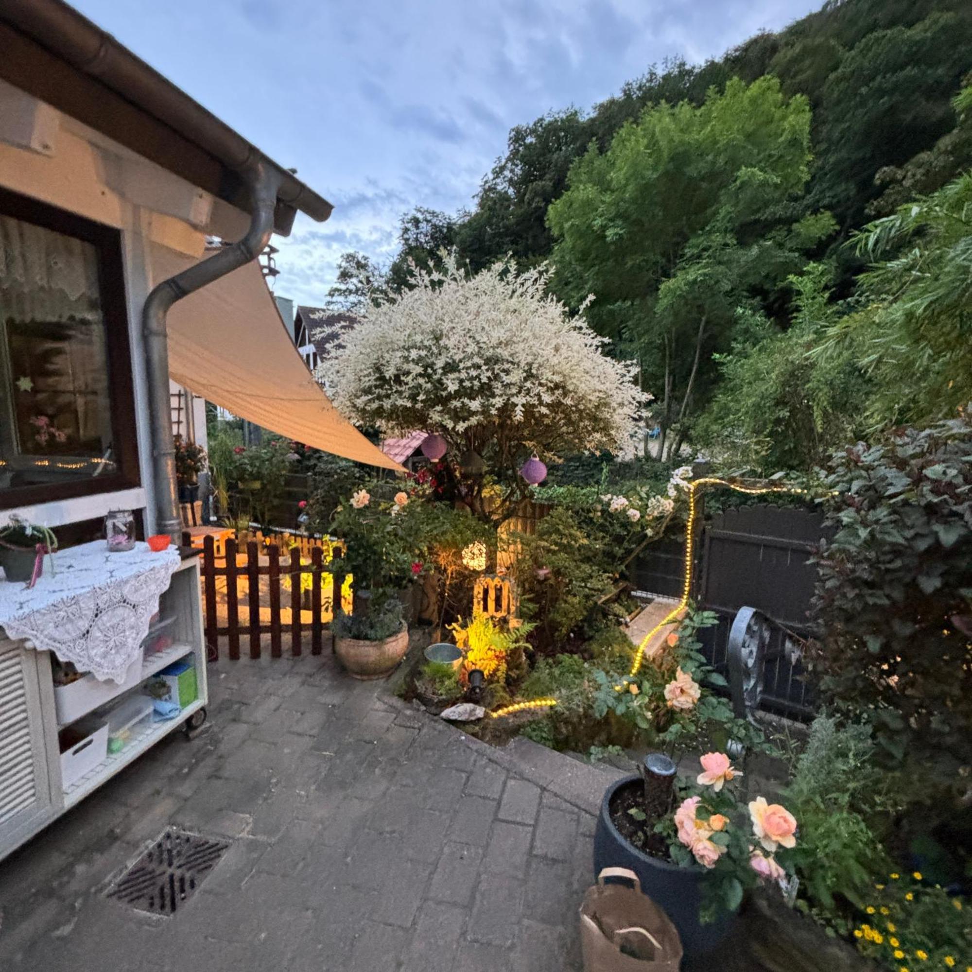 Ferienwohnung Im Morgenbachtal Trechtingshausen Exterior photo