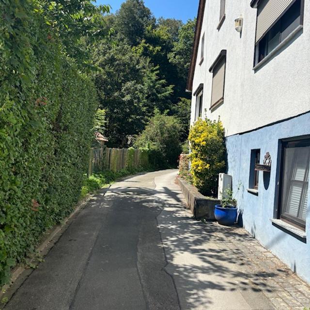 Ferienwohnung Im Morgenbachtal Trechtingshausen Exterior photo